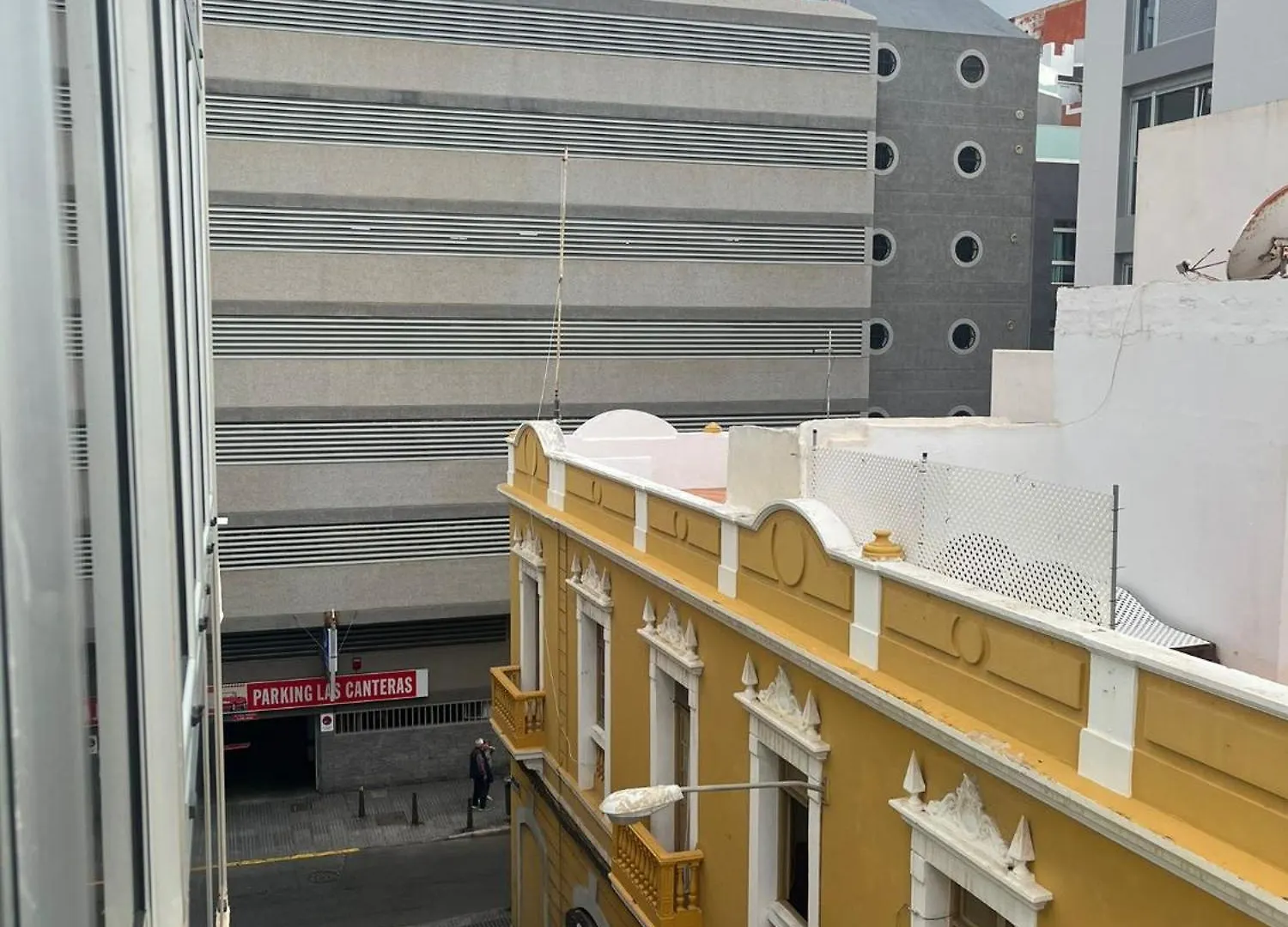 Mirlo Canteras Las Palmas de Gran Canaria