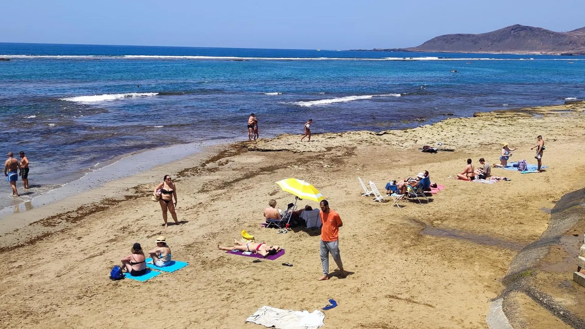 Mirlo Canteras Las Palmas de Gran Canaria